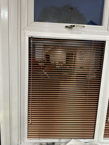 Blinds copper coloured - copper,